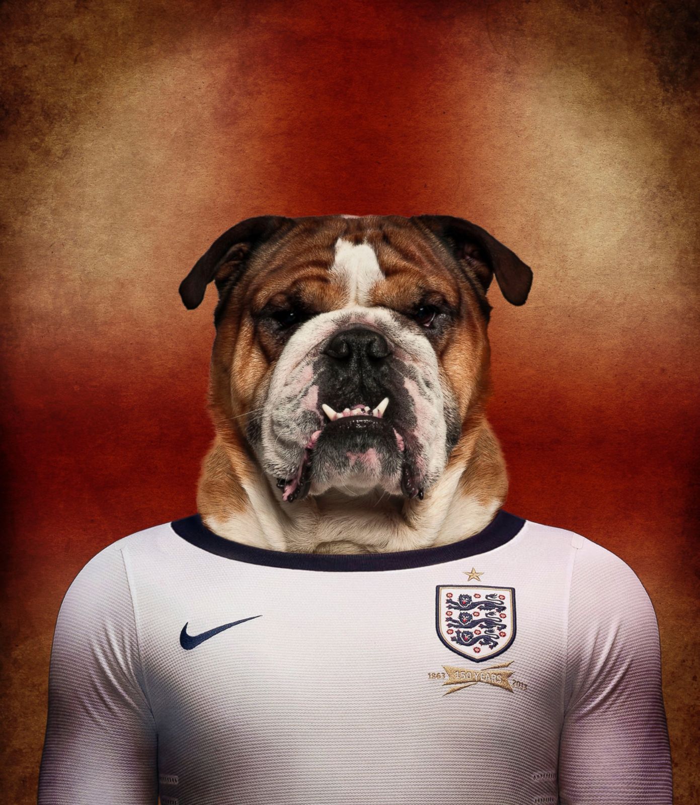 dog in football jersey