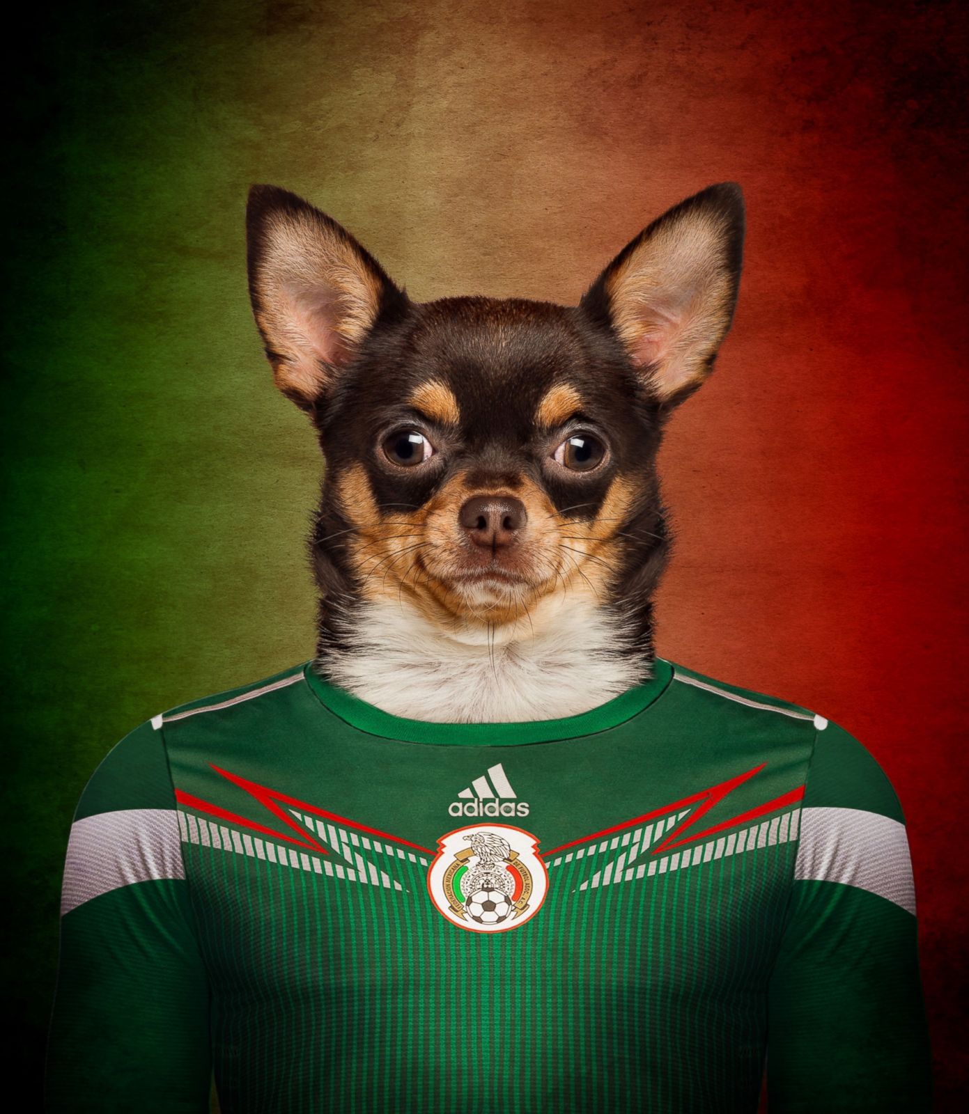 dog soccer jerseys mexico