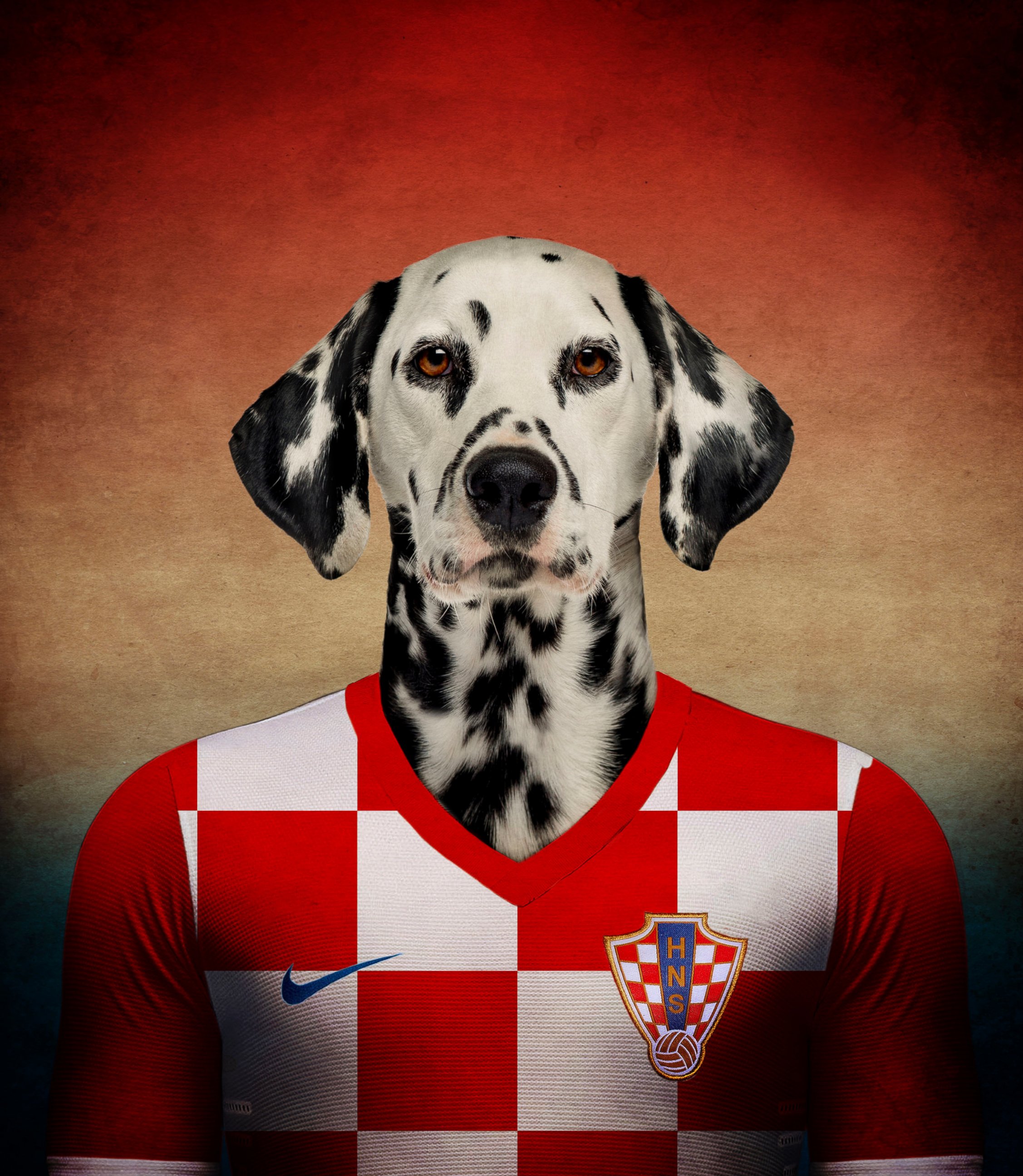 Dogs cup. Собака футболист. Собака в форме футболиста. Крутая собака. Псина футболист.