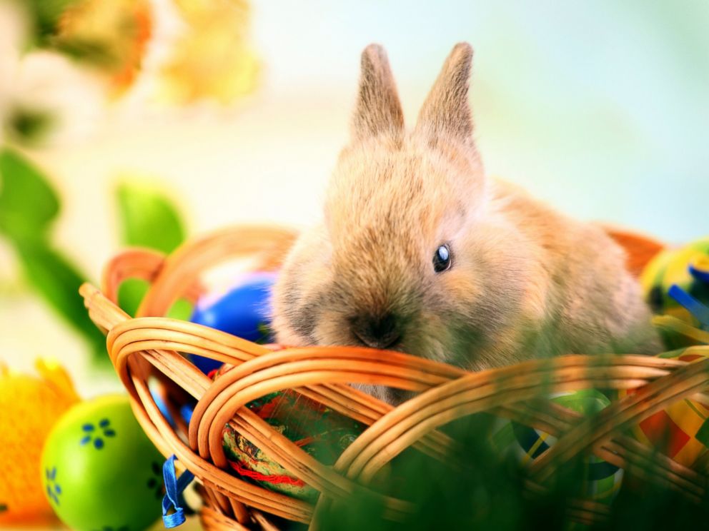 How a bunny baskets and eggs got connected with Easter