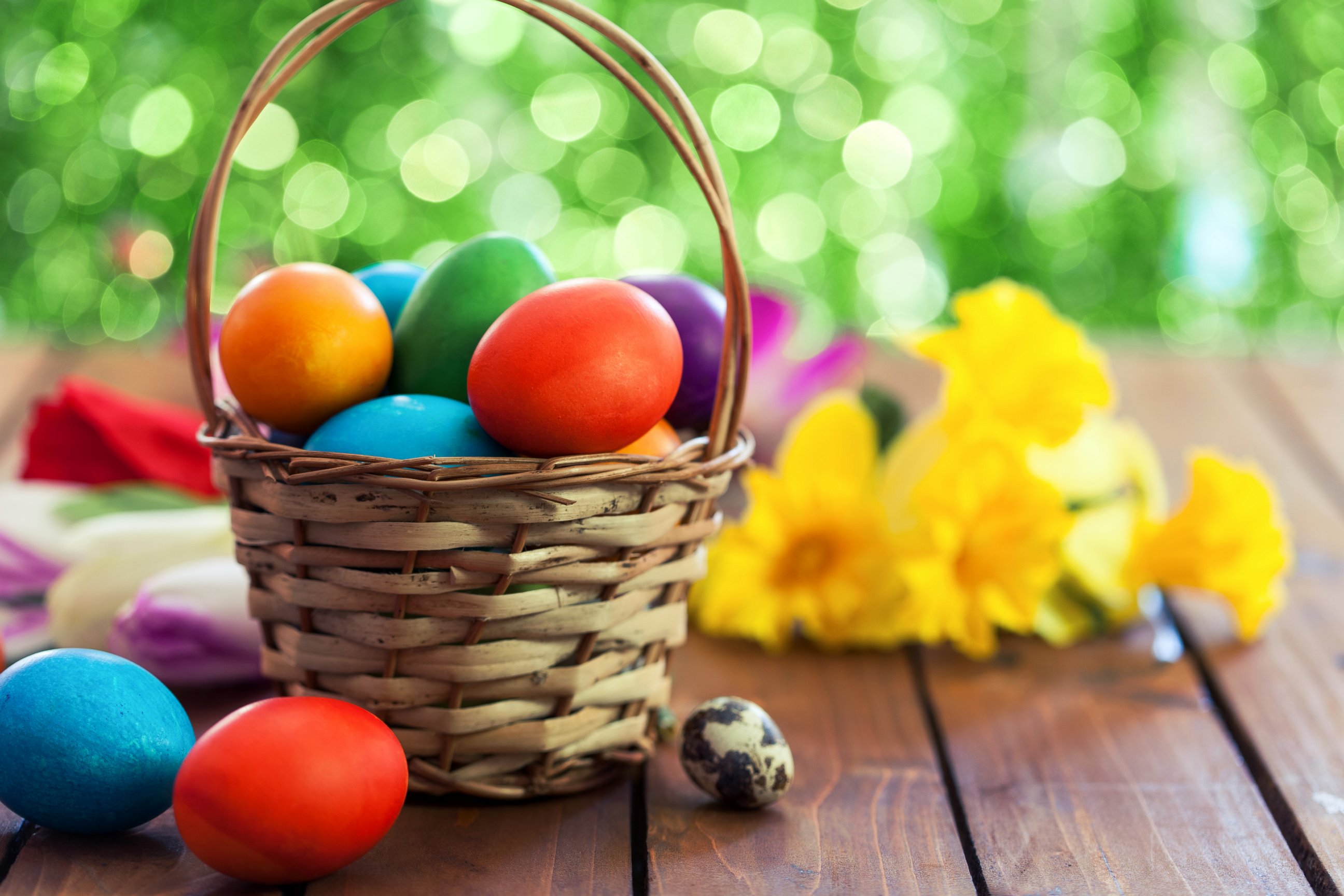 PHOTO: Basket of painted Easter eggs.