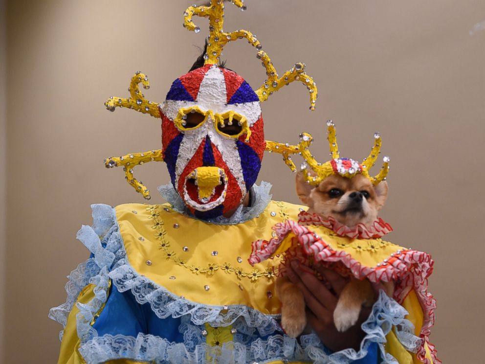 PHOTO: Representing Puerto Rico, a contestant in the World Fashion Presents segment poses during the 14th Annual New York Pet Fashion Show, Feb. 9, 2017. 