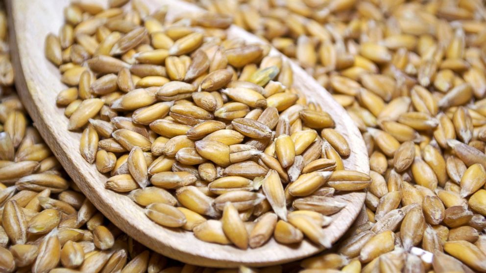 Spelt grains are shown in this undated stock image.