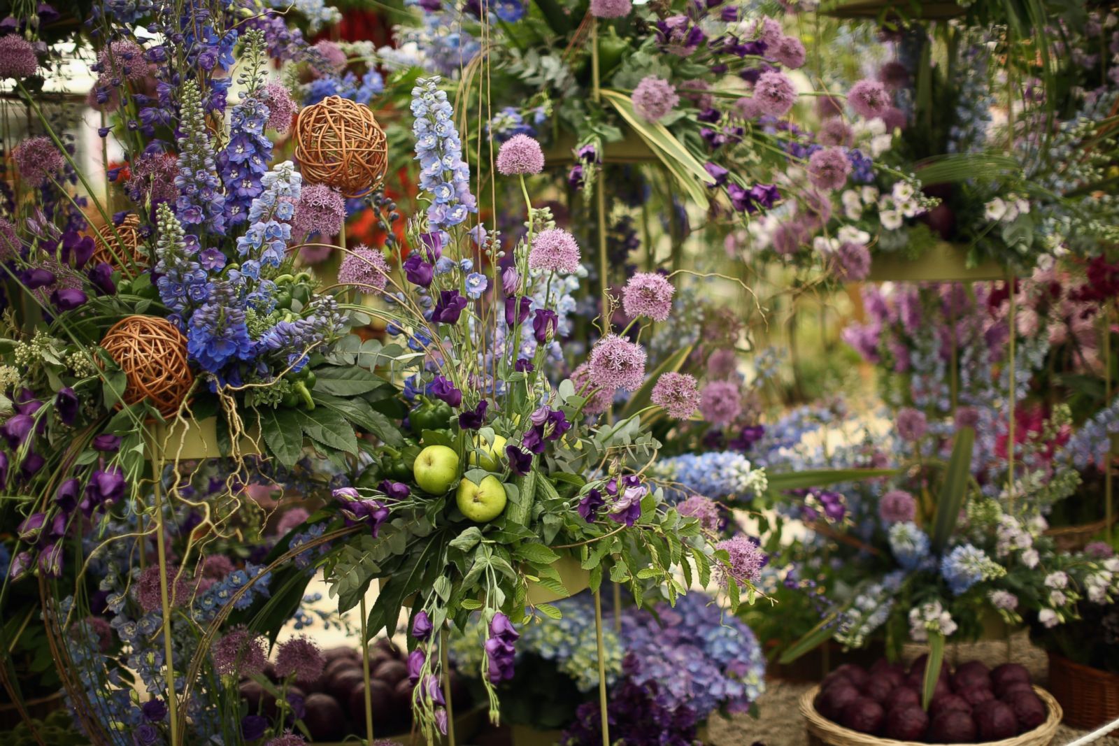 Beautiful Blooms At Chelsea Flower Show Photos | Image #101 - Abc News