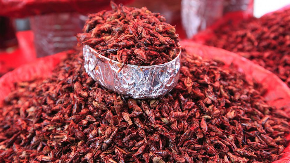 PHOTO: Grasshoppers at a market near Oaxaca, Mex.