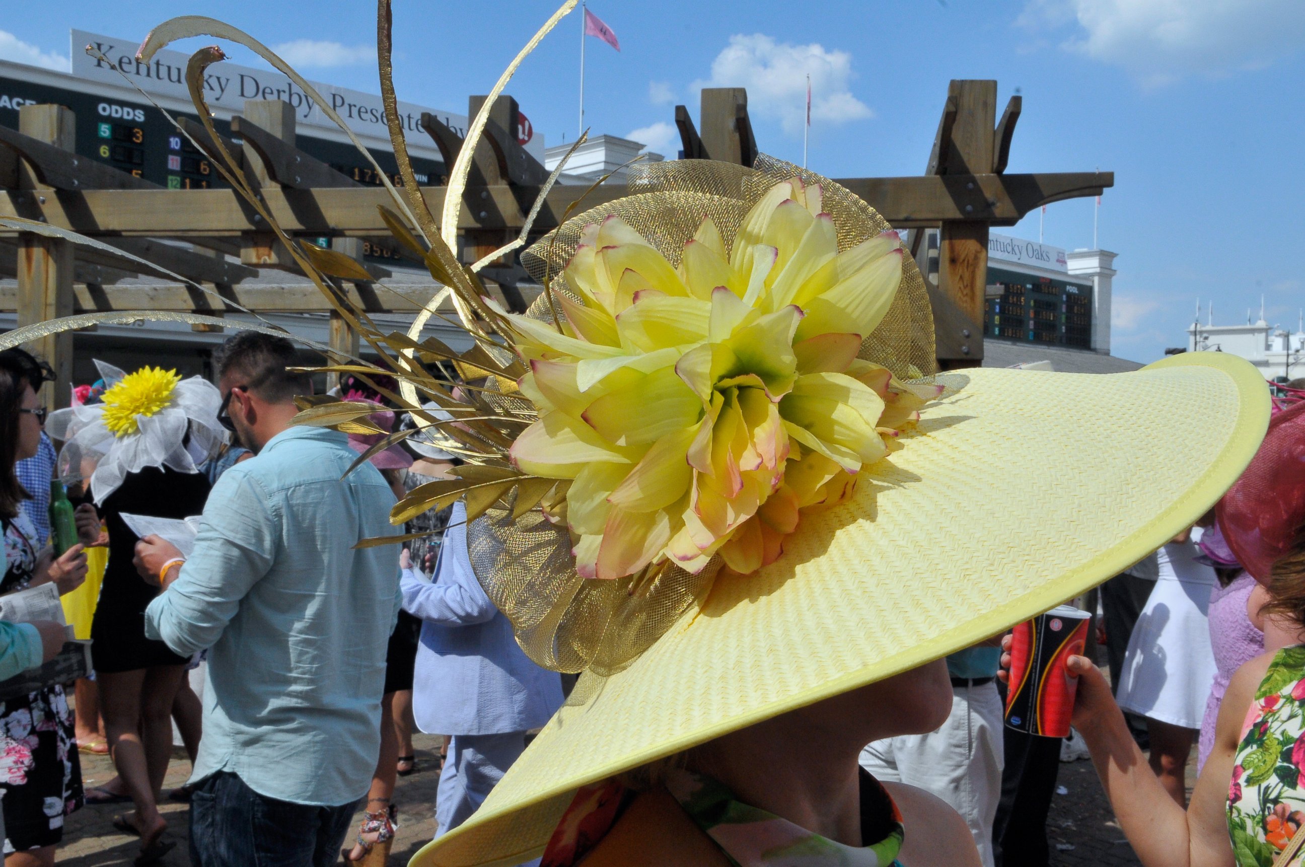 Ladies 2024 derby hats