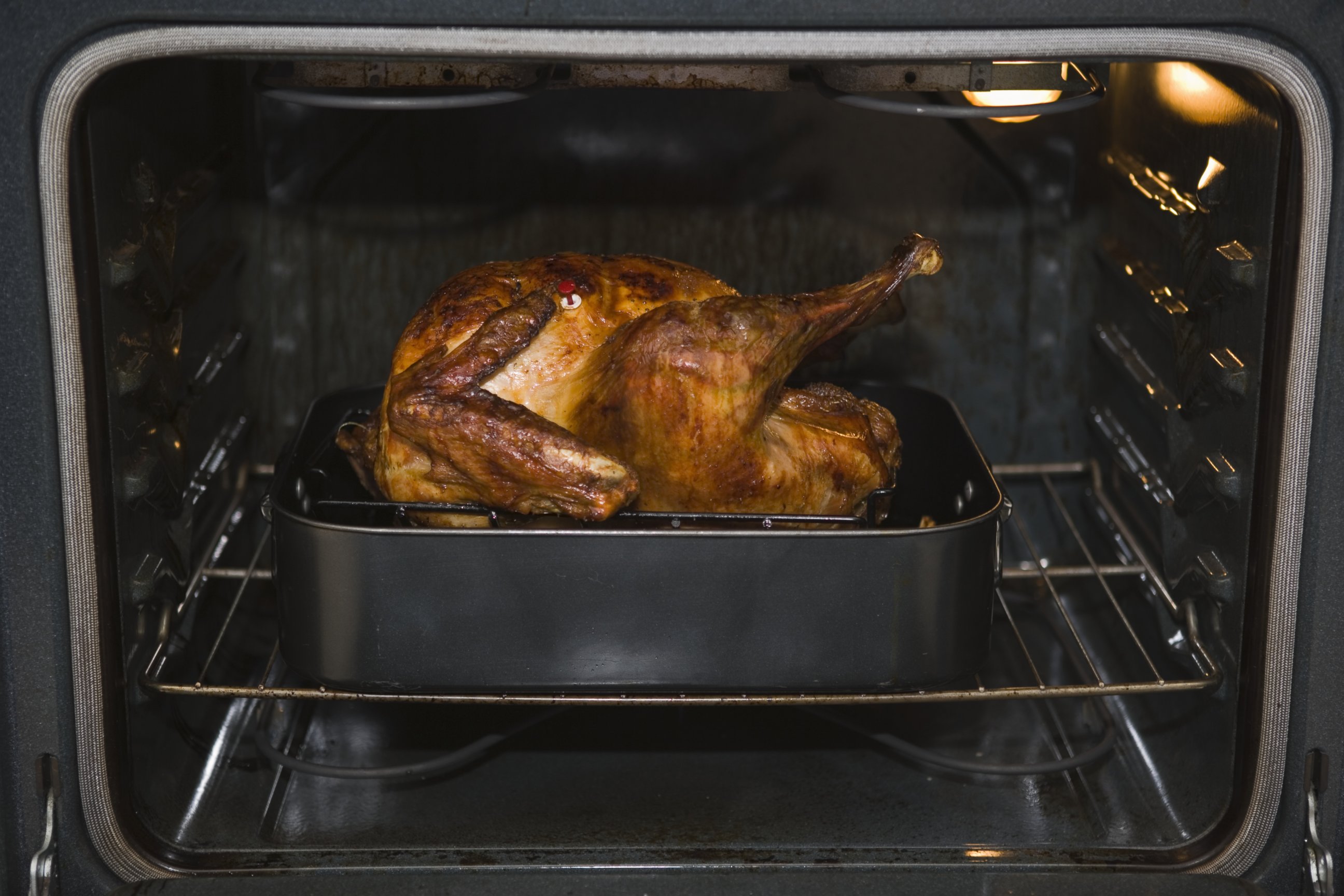 PHOTO: Turkey cooking in oven.