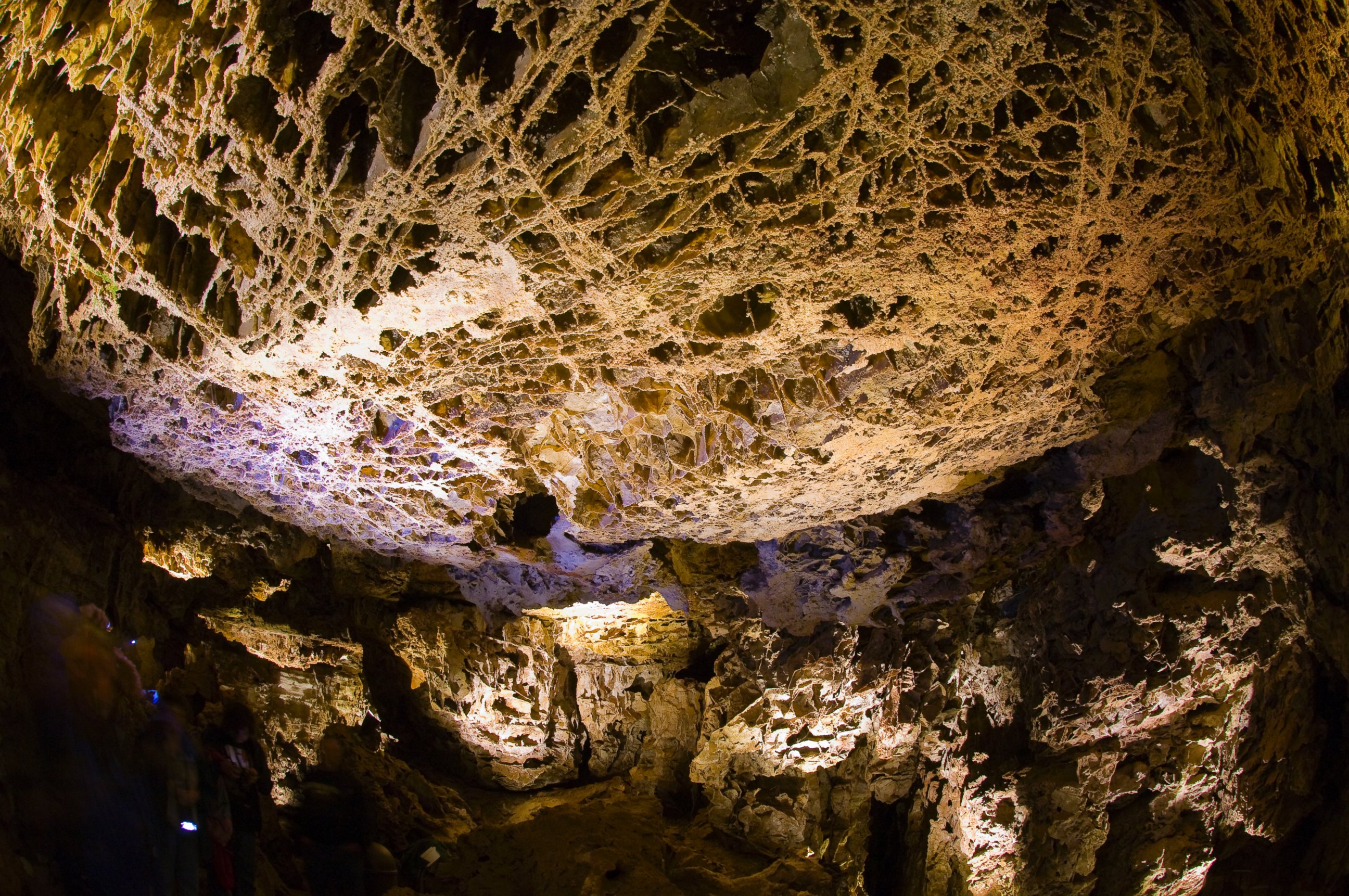 PHOTO: Boxwork or a honeycomb pattern, is seen here on the ceiling of Wind Cave National Park, South Dakota.
