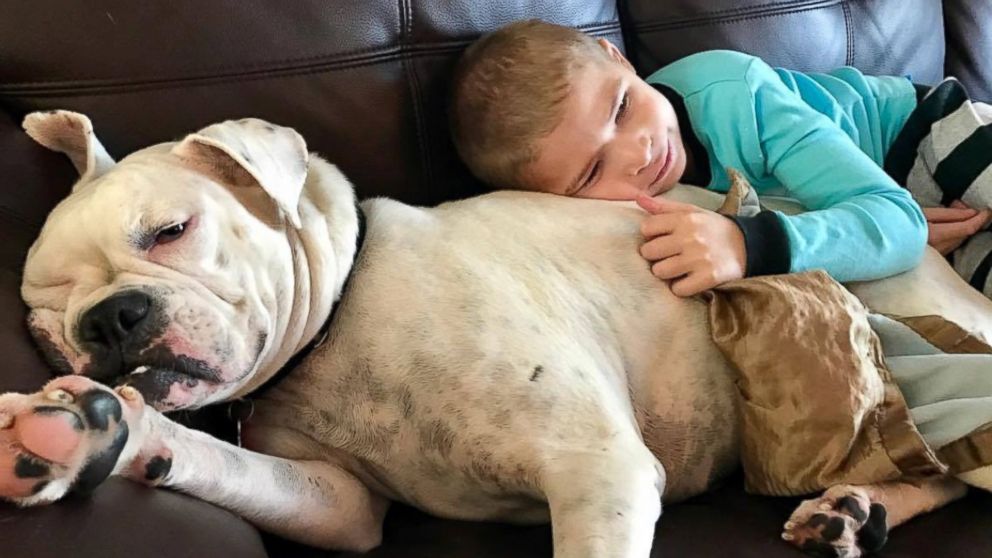 Nonverbal Boy Shares Unbreakable Bond With Deaf Dog - ABC News