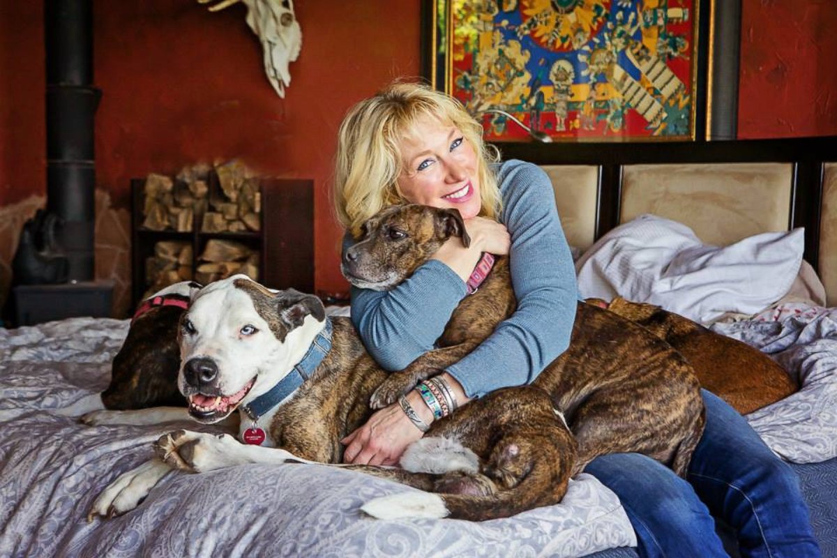 PHOTO: Liesl Wilhardt, founder of Luvable Dog Rescue in Eugene, Oregon, builds colorful cottages for her shelter dogs.