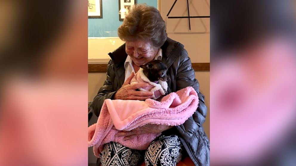PHOTO: Emotional moment between Jerri McCutcheon and newly adopted dog caught on camera.