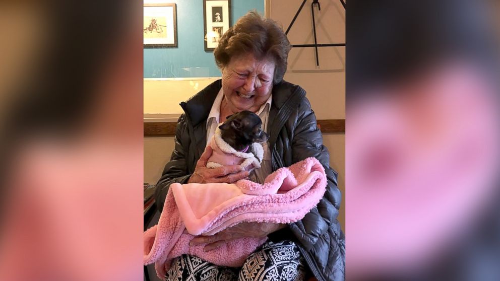 Emotional moment between Jerri McCutcheon and newly adopted dog caught on camera.

