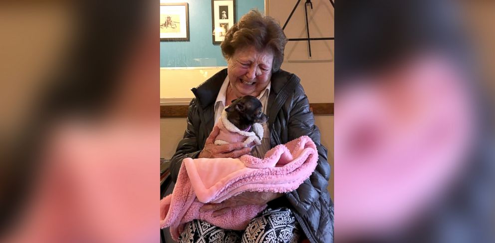 PHOTO: Emotional moment between Jerri McCutcheon and newly adopted dog caught on camera.