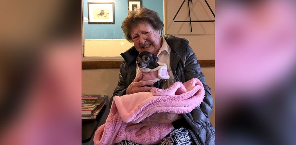 PHOTO: Emotional moment between Jerri McCutcheon and newly adopted dog caught on camera.