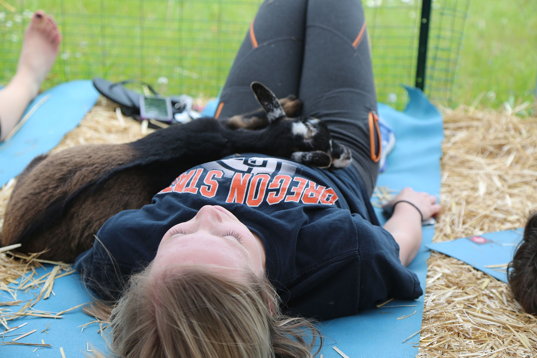 PHOTO: A goat snuggles with a woman taking a goat yoga class in Oregon. 