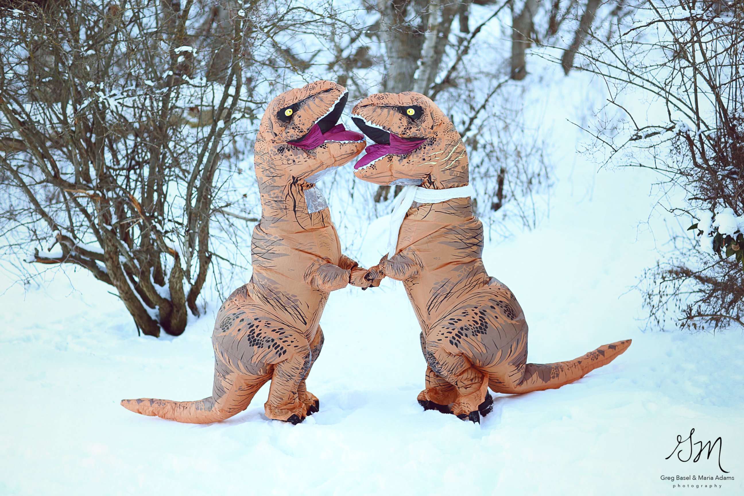 PHOTO: These photographers wanted to prove "love isn't extinct" with their T-Rex engagement photo shoot.