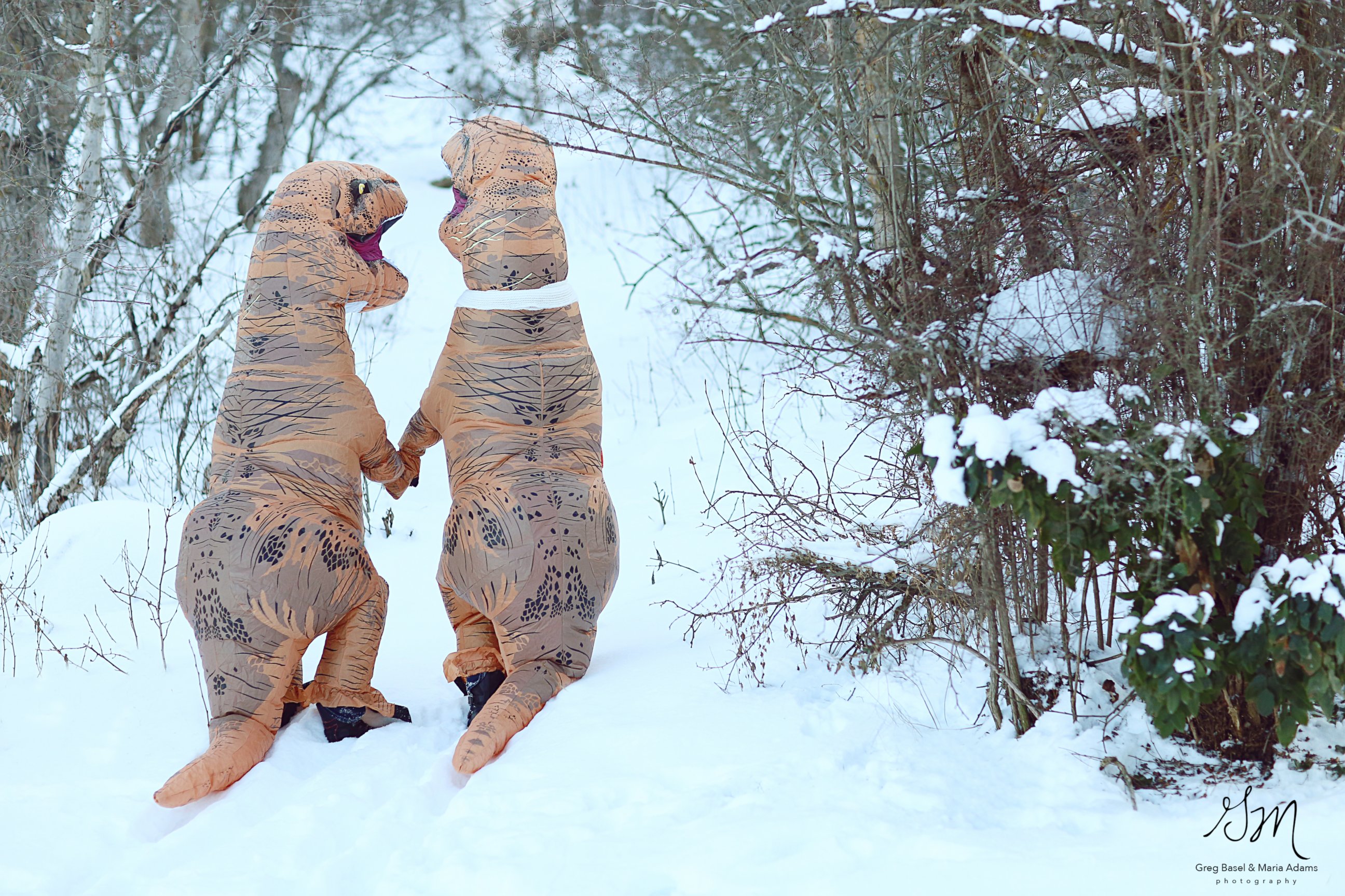 PHOTO: These photographers wanted to prove "love isn't extinct" with their T-Rex engagement photo shoot.