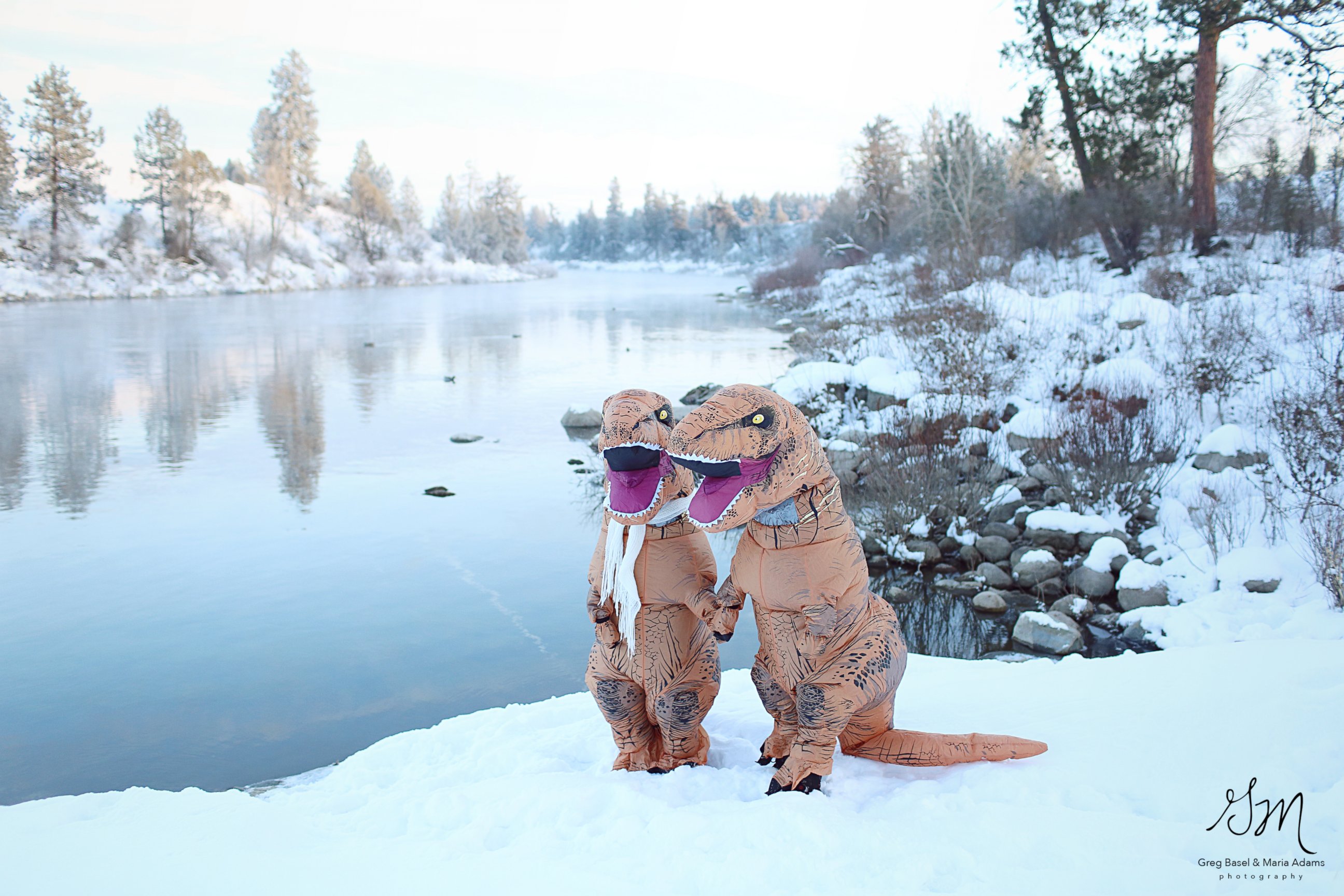 PHOTO: These photographers wanted to prove "love isn't extinct" with their T-Rex engagement photo shoot.