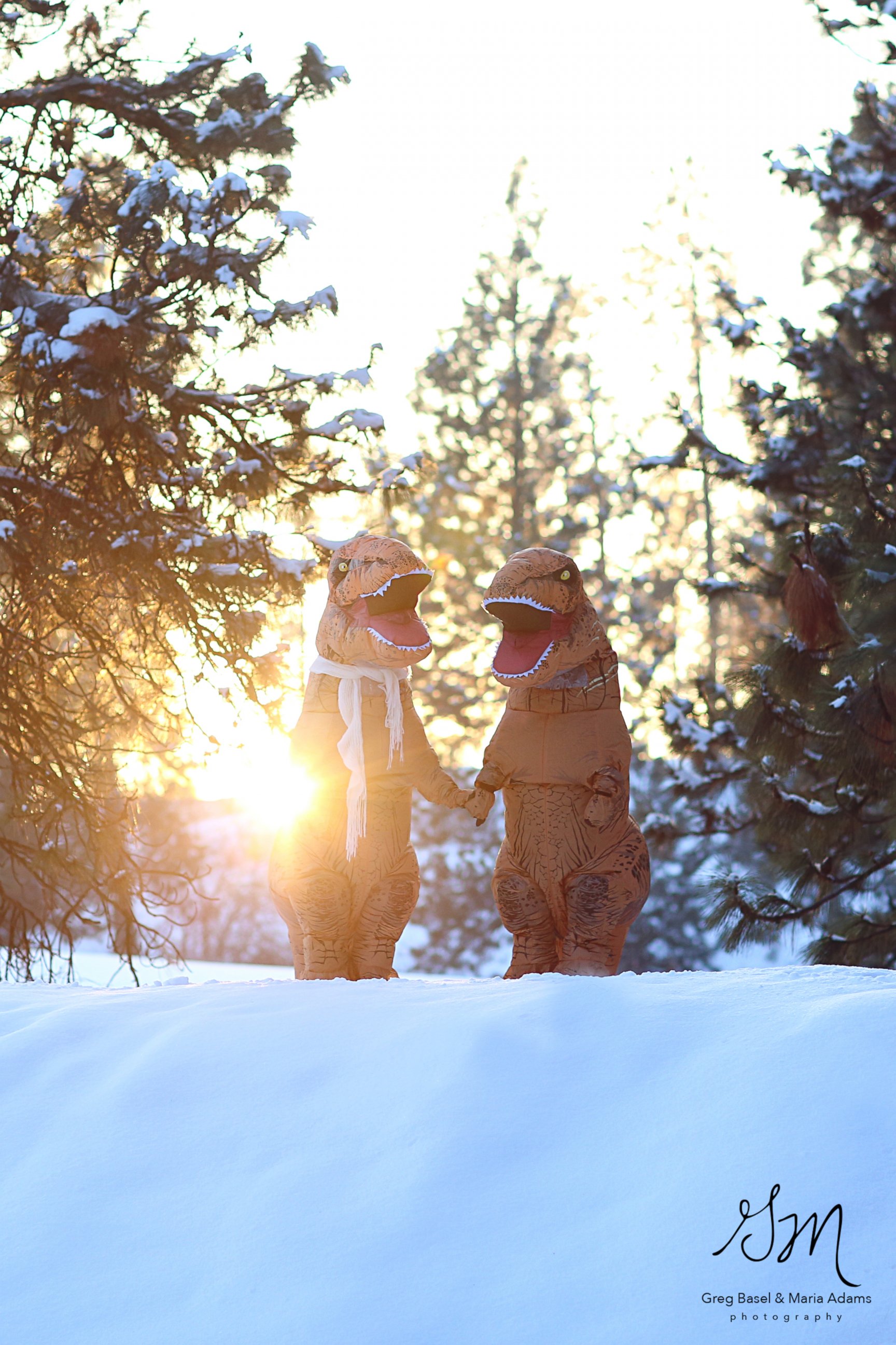 PHOTO: These photographers wanted to prove "love isn't extinct" with their T-Rex engagement photo shoot.