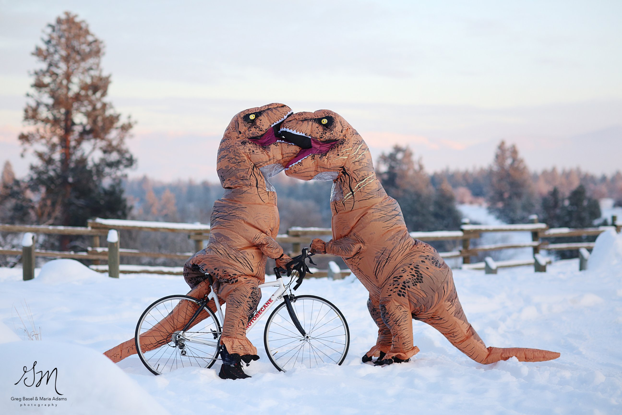 PHOTO: These photographers wanted to prove "love isn't extinct" with their T-Rex engagement photo shoot.