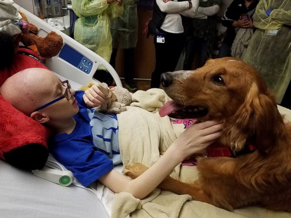 PHOTO: Brooke Mulford was granted wish of seeing inspiration film "A Dog's Purpose" and even got a visit from screenwriter Cathryn Michon and the film's star dog, Trip.