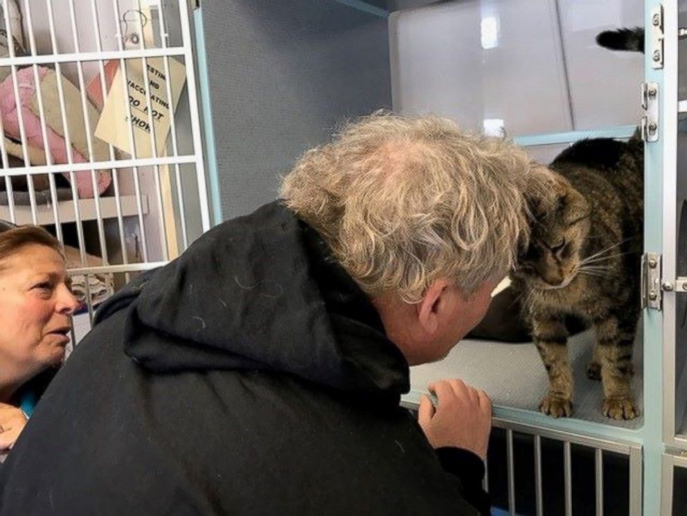 PHOTO: Jimmy the cat has made his way home after missing since September 13, 2014, in Wanaque, New Jersey.