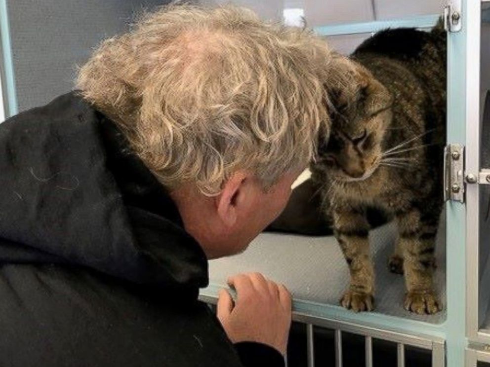 PHOTO: Jimmy the cat has made his way home after missing since September 13, 2014, in Wanaque, New Jersey. 