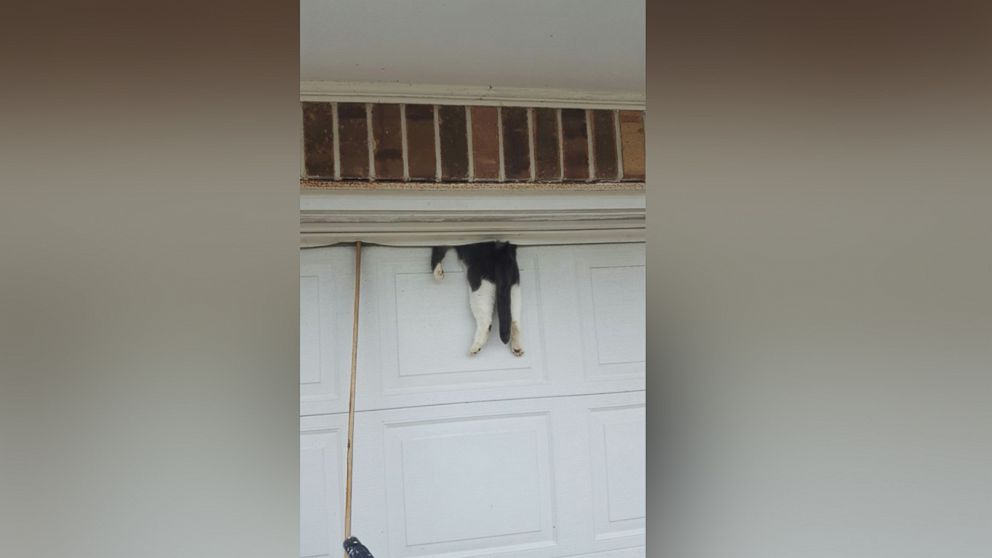 When a cat got caught in a garage door, the Ascension Parish Sheriff's Office came to the rescue. 