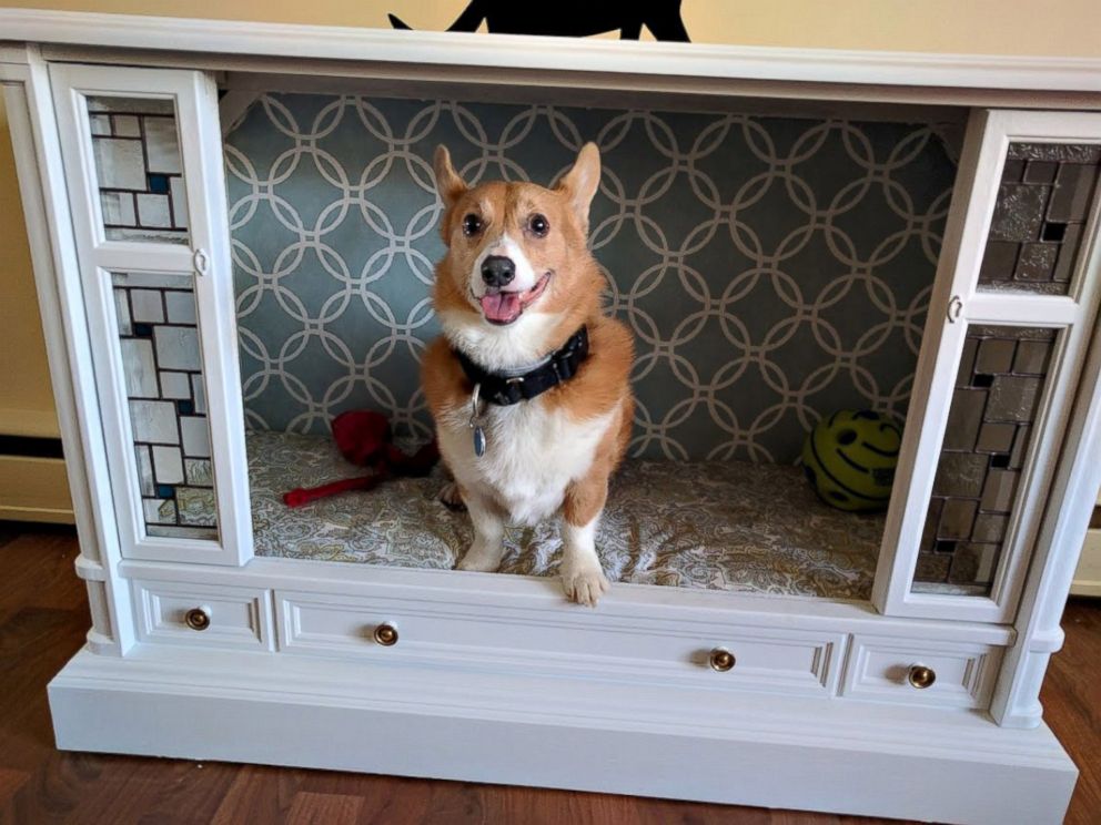 PHOTO: Jonathan and Lisa, of Havre de Grace, Maryland, turned a retro TV into a chic doggy paradise with stained glass windows.