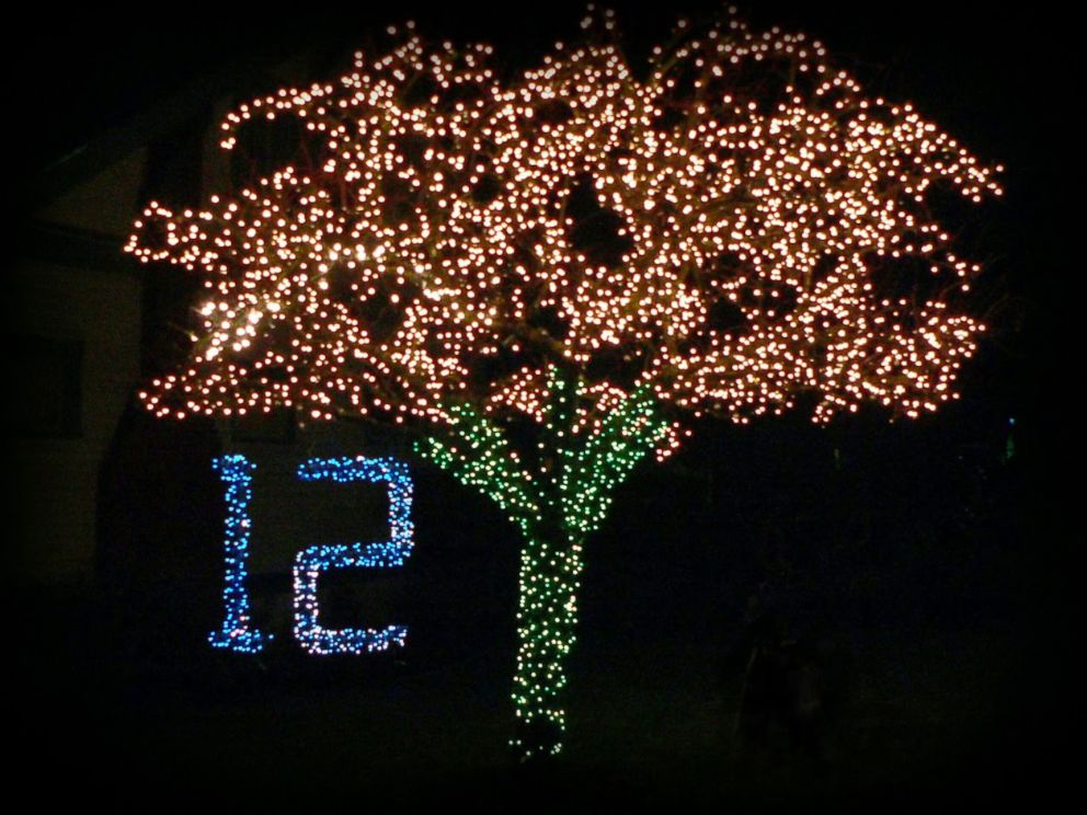 PHOTO: Herb Allwine, 73, decorates a tree outside of his Seattle home for every holiday in memory of his wife, Mary Lou, who passed away in 2009.