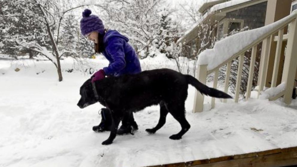 Maddie Dimetrosky, 11, helps her dog, Tashi, get down the new ramp built by their mailman on Thursday in Boulder. 
