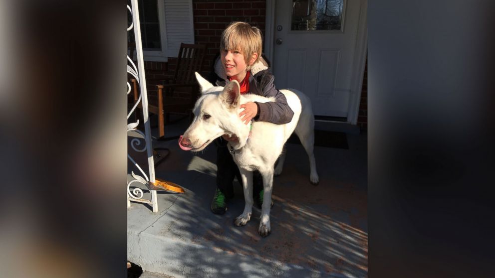 PHOTO: Lennox Goebel, 11, was overcome with tears as he was surprised with the return of his neighbor's dog, Bogart, after spending a year in California. 