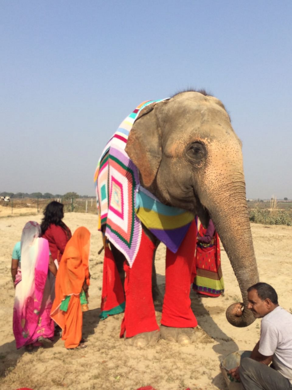 PHOTO: Wildlife SOS, a non-profit based in Asia, is helping elephants in Northern India stay warm with colorful knit sweaters.