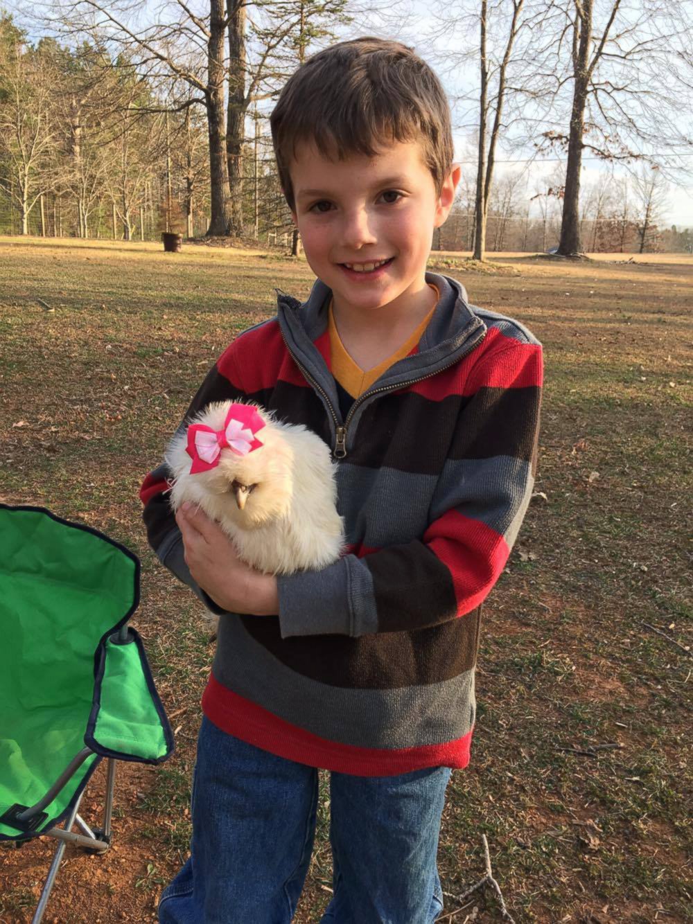 PHOTO: Finn Proctor, 7, adopted Darla, his therapy chicken that is helping to educate his community about humane treatment of animals.