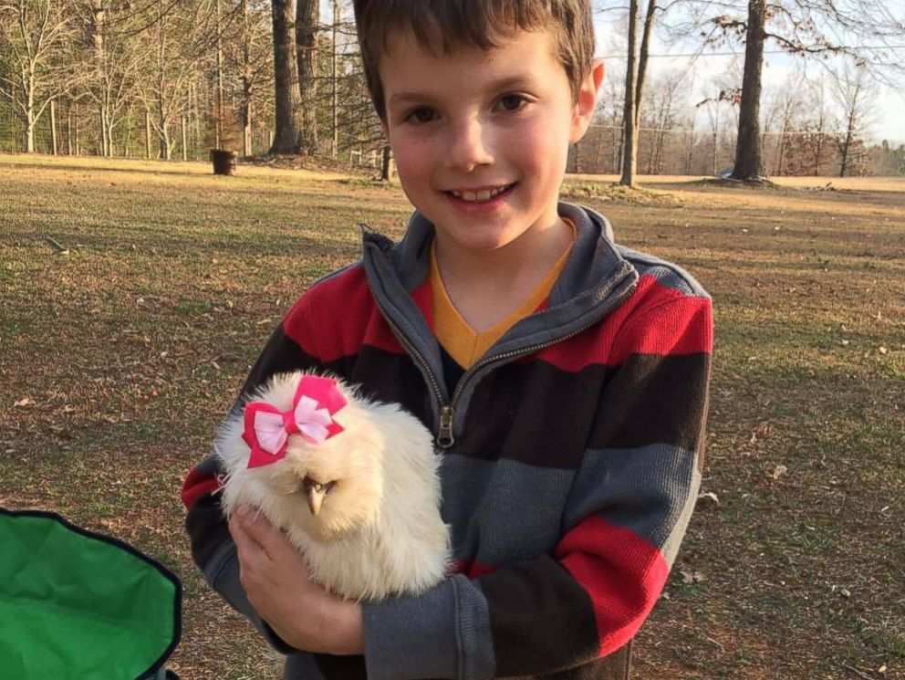 PHOTO: Finn Proctor, 7, adopted Darla, his therapy chicken that is helping to educate his community about humane treatment of animals.