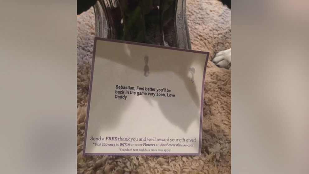 PHOTO: Debbie Cardone's husband sent flowers to their sick dog, but when she realized they weren't for her, she wasn't impressed.