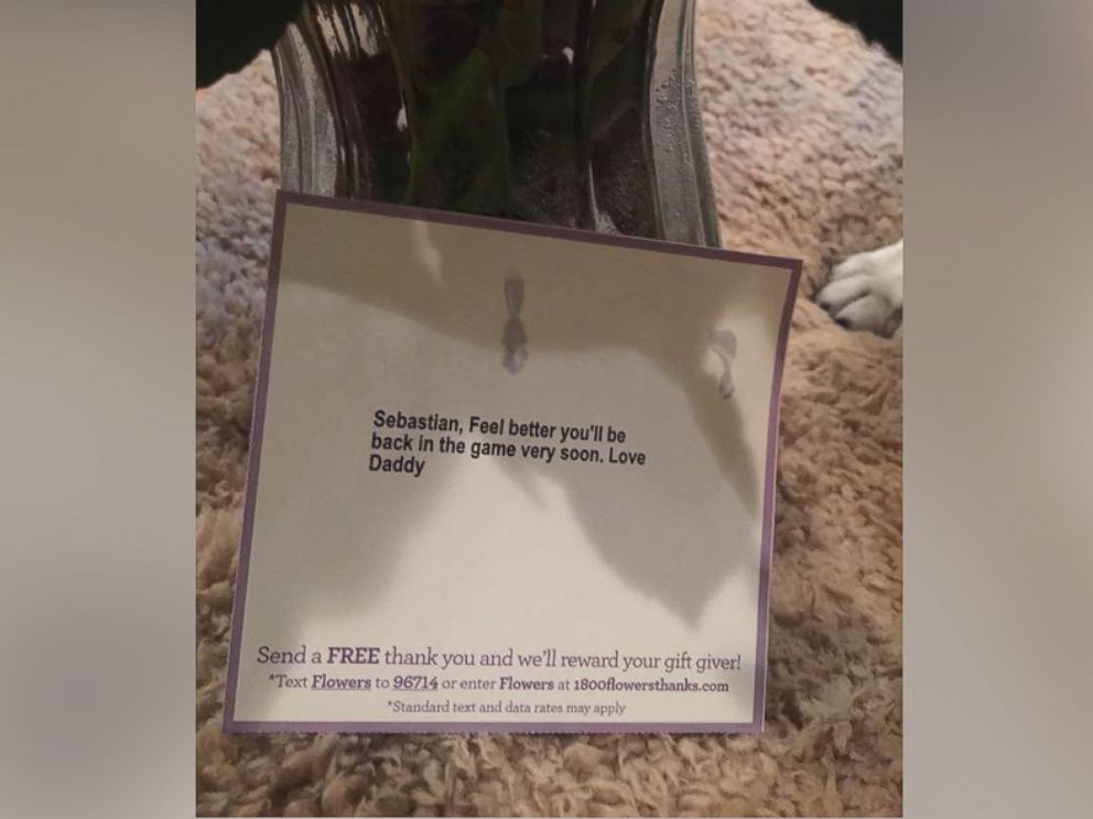 PHOTO: Debbie Cardones husband sent flowers to their sick dog, but when she realized they werent for her, she wasnt impressed.