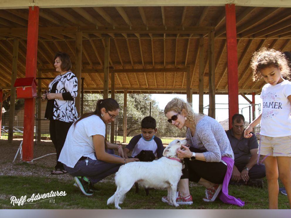 PHOTO: Frito the dog was reunited with his siblings after they were adopted from Texas Humane Heroes in Leander.