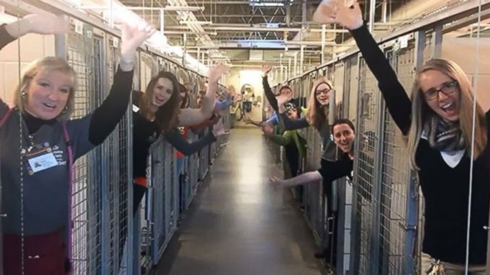 Humane Society of the Pikes Peak Region posted video to Facebook, of their staff and volunteers celebrating the success of their #HomefortheHolidays promotion, Dec. 19, 2016. 