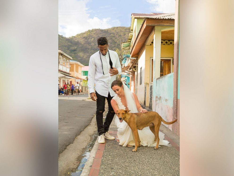 Nfl Player And Wife Ask Wedding Guests To Donate Animal Rescue In Photo Tennessee An Cornerback Logan Ryan And His Wife Ashley Bragg Asked Their Wedding