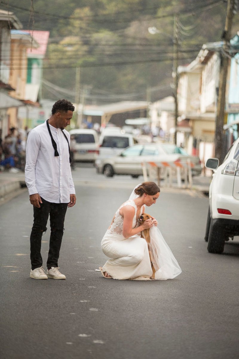 PHOTO: Tennessee Titan cornerback Logan Ryan and his wife Ashley Bragg Ryan asked their wedding guests to donate to Help Animal Welfare in Saint Lucia instead of giving wedding gifts.