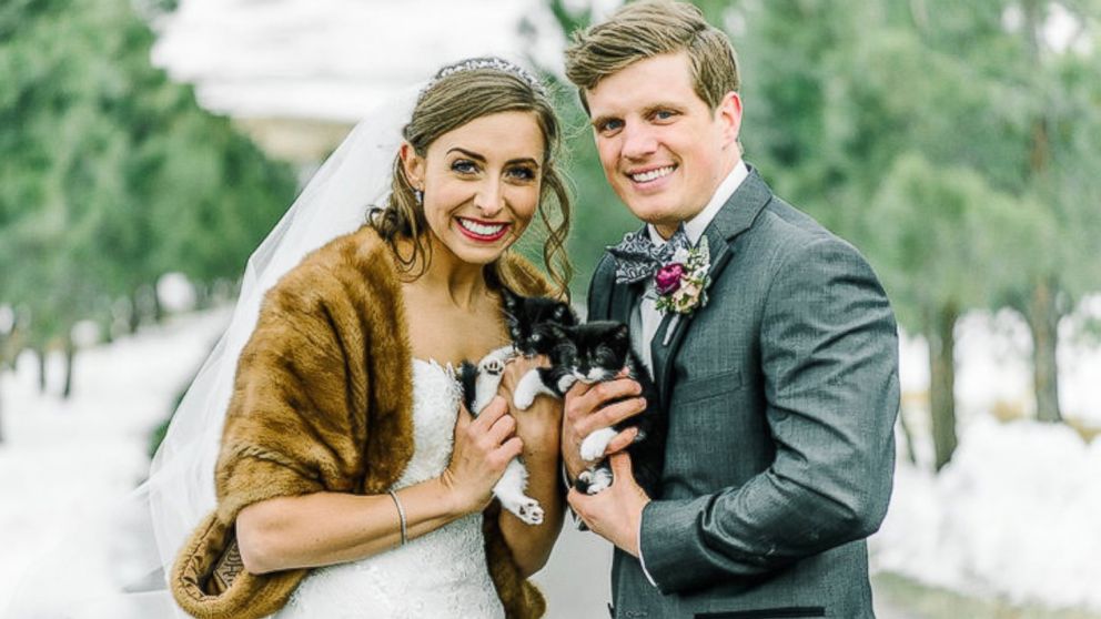 Veterinarians Michele Bangsboll Anderson and Nick Anderson invited rescue kittens to their Colorado wedding.