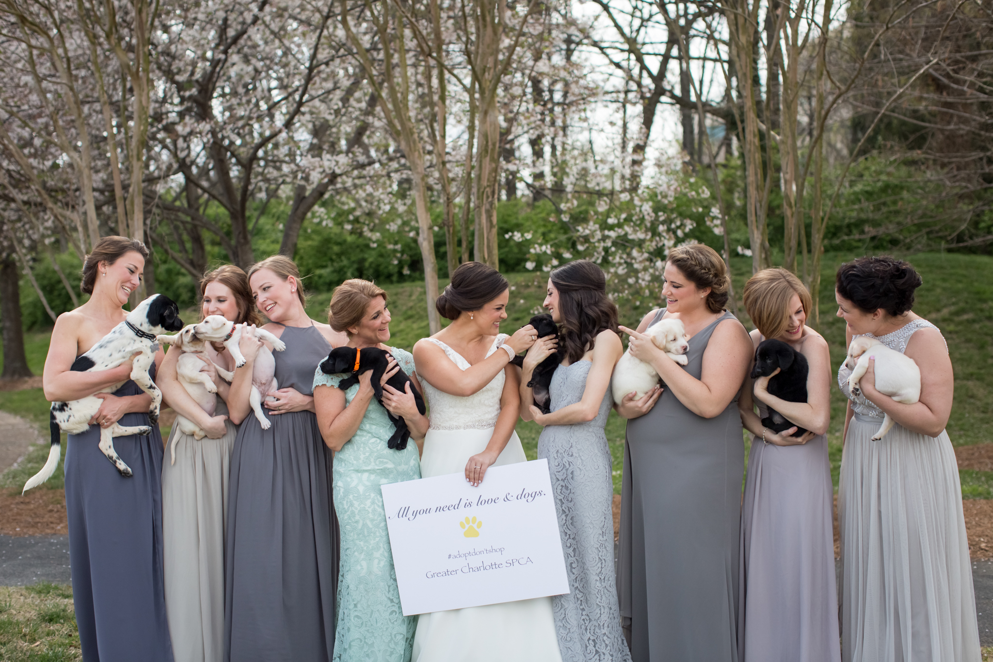 PHOTO: Bridesmaids trade bouquets for rescue puppies in Meghan Butler's North Carolina wedding photos. 