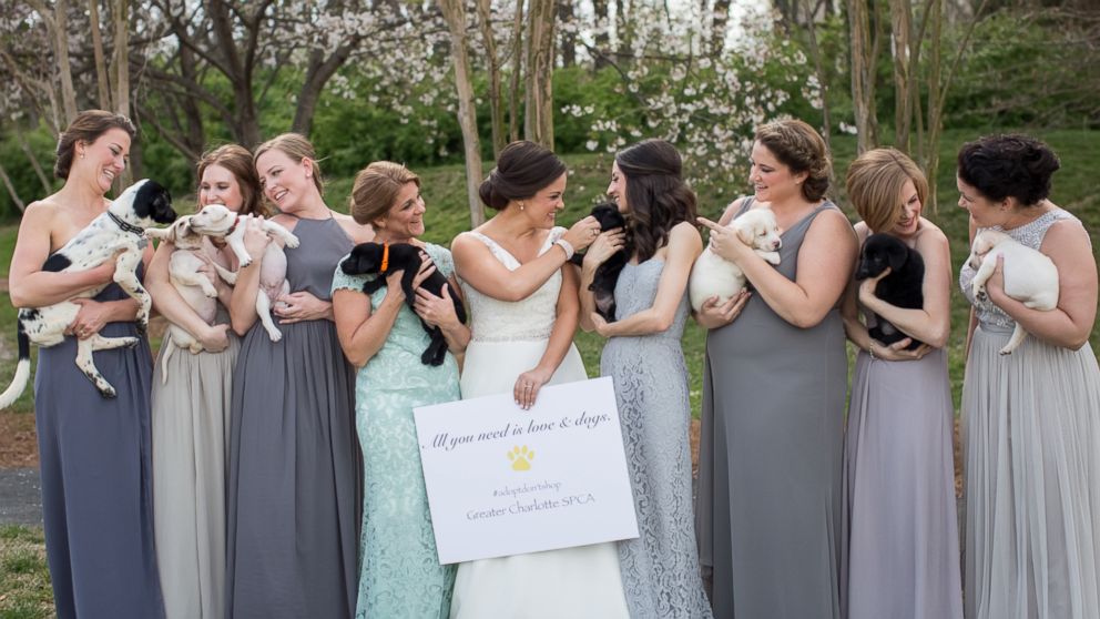 North Carolina bridesmaids trade bouquets for rescue puppies in wedding photos - ABC News