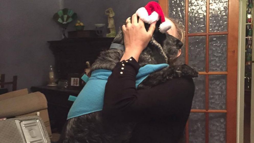 VIDEO: Family Celebrates Christmas Early for Dying Dog 
