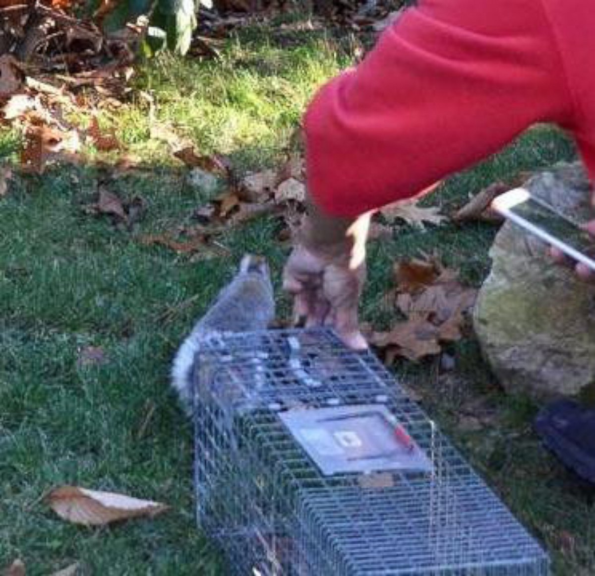 PHOTO: The Animal Rescue League helped save a squirrel that was found with what appeared to be a dog bone stuck around its neck. 
