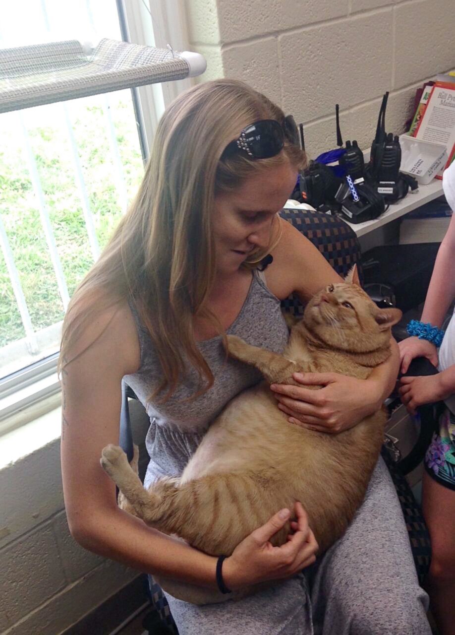 PHOTO: Symba the 35-pound cat has been adopted by Kiah Berkeley and Peter Sorkin of Mount Rainier, Maryland.