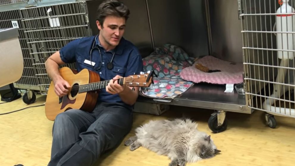 PHOTO: Dr. Ross Henderson was recorded while singing to a furry patient at Fox Animal Hospital in Lakewood, Colo.