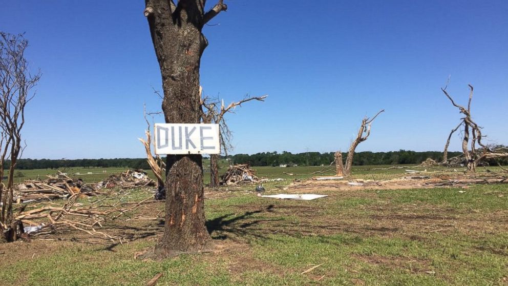 PHOTO: Hobby metal detector Nathan Wright found Ariel Duke's wedding rings among the debris after a tornado destroyed her Canton, Texas, home. 