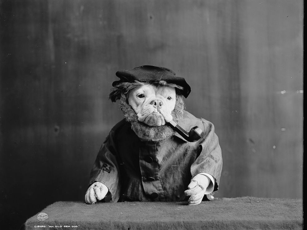 PHOTO: "An Old Sea Dog," circa 1905.
